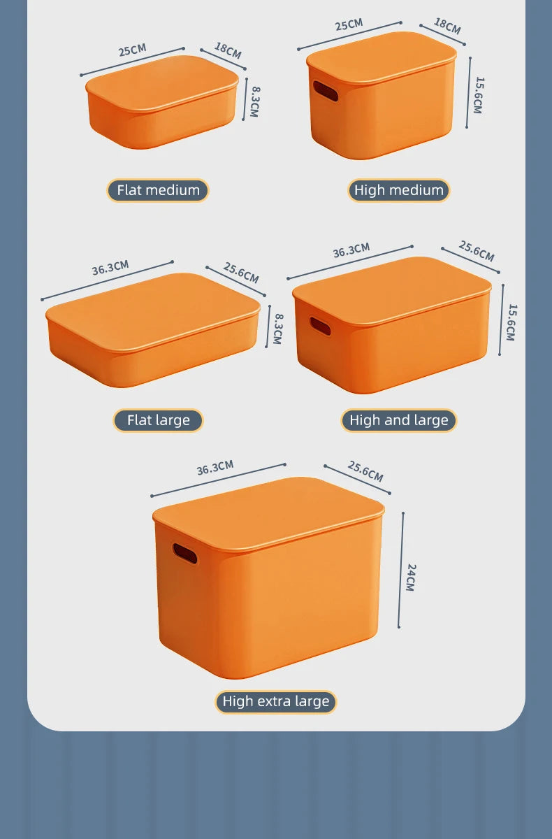 📦 Colorful Storage Box