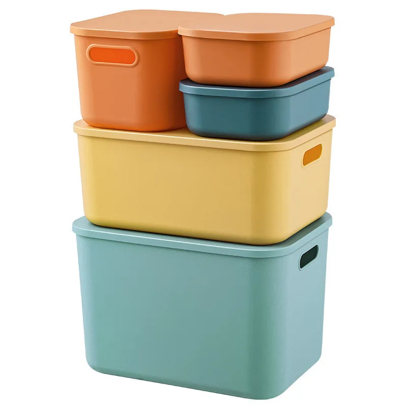 📦 Colorful Storage Box