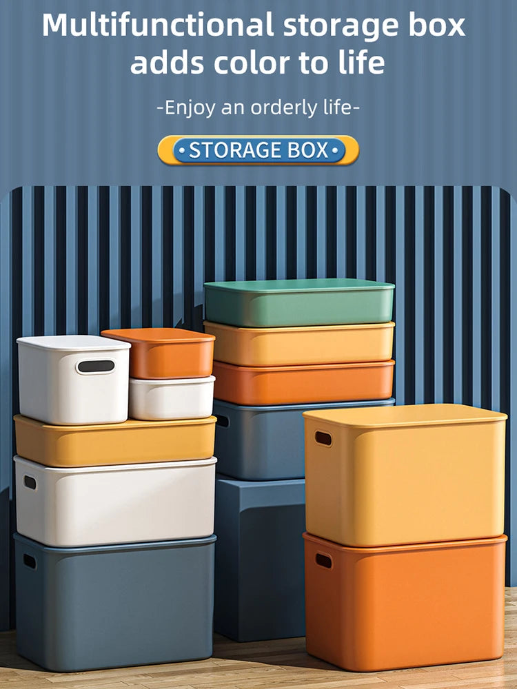 📦 Colorful Storage Box